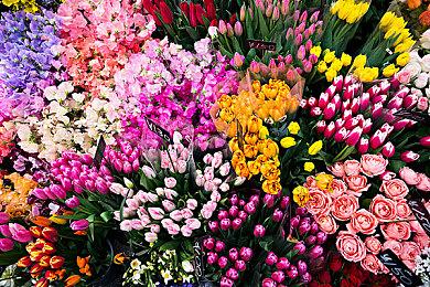 《武士少女》Iyo角色预告公布 游戏将于12月8日发售