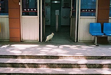 悬疑侦探游戏《心灵警探》11月14日发售 试玩版已上线